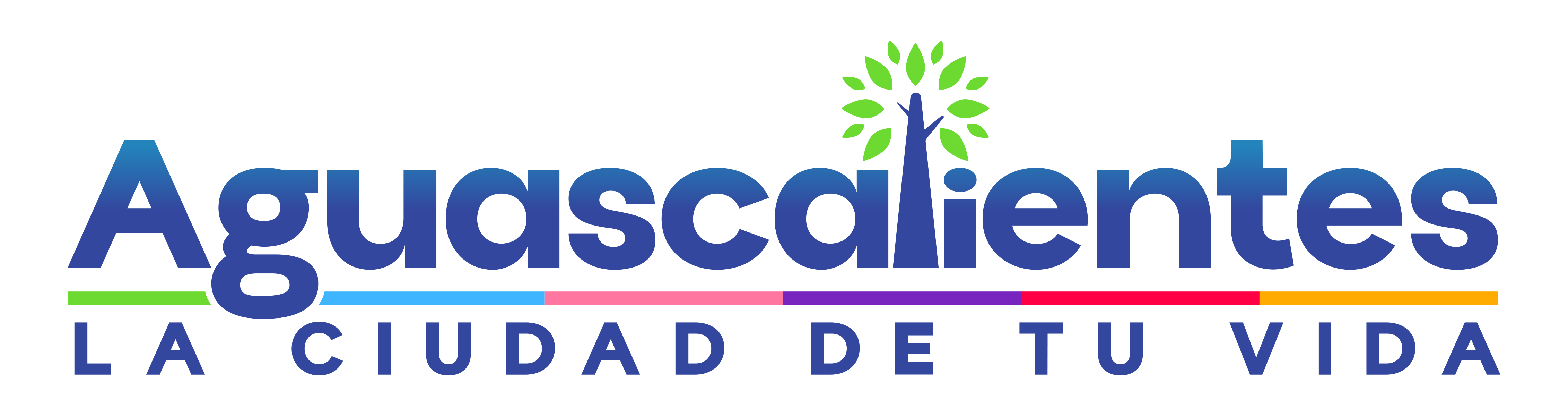 Sponsor - Municipio de Aguascalientes