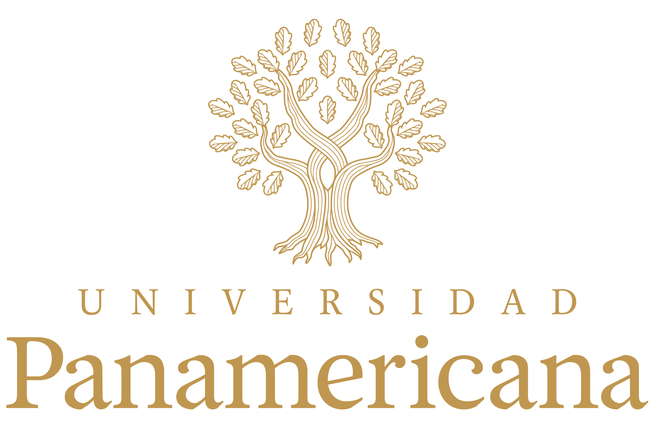 Sponsor - Universidad Panamericana